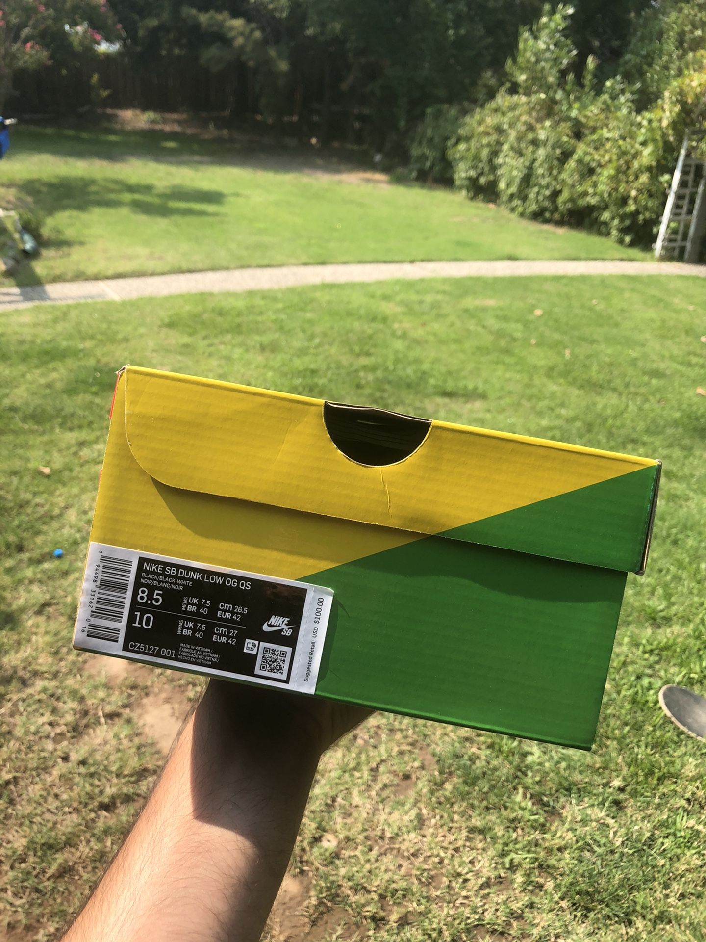 Nike Sb dunk low Medicom