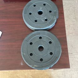 Two- 3KG /6.6 Lb Weights 