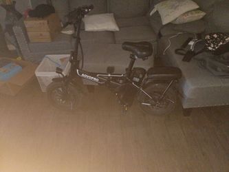 250 or obo