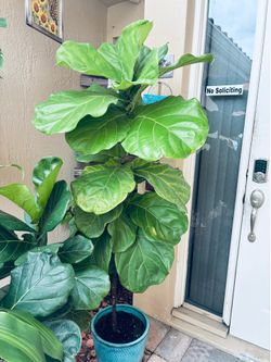 FIG 6Ft