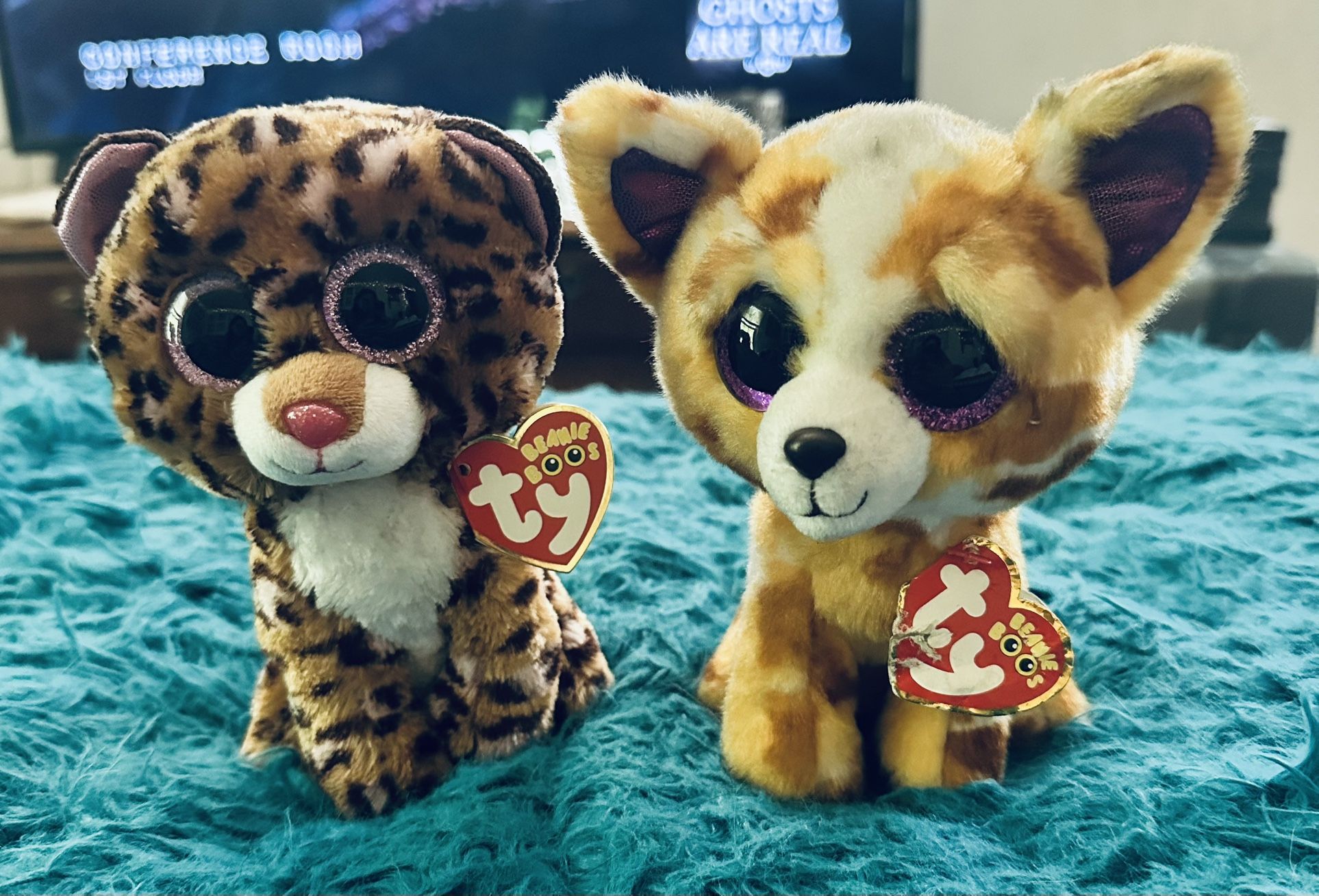 Ty Beanie Boos