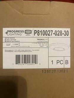 Satin White 5 1/2 Light