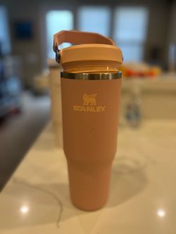 Stanley IceFlow