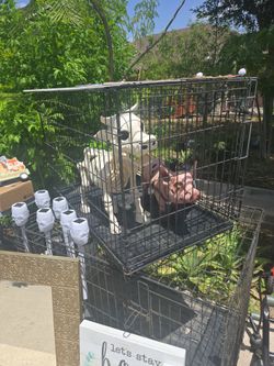 Kennels