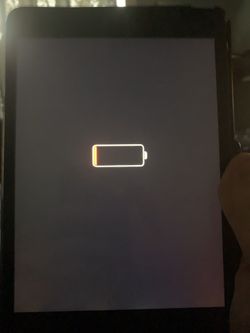 charged and working IPAD Mini