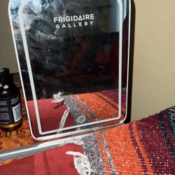 Portable Fridge 