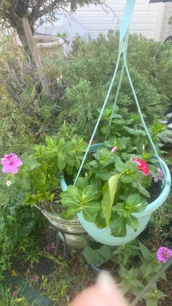 Outdoor hanging basket