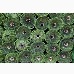 Turf Grass