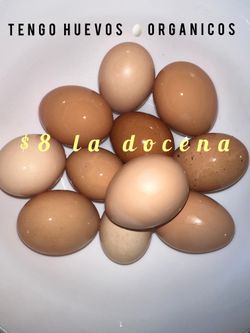 Eggs
