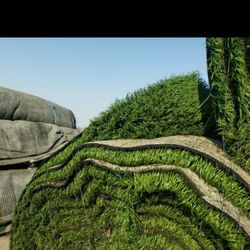 Used Artificial Grass