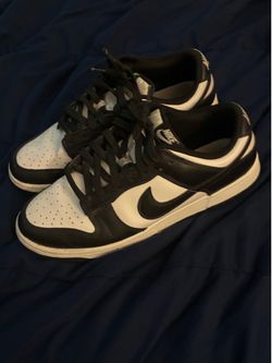 Nike dunks size 10