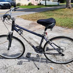 New SCHWINN  Beautiful Riding Weather 