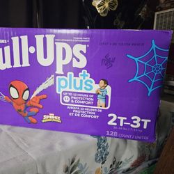 Pullups 2t-3t