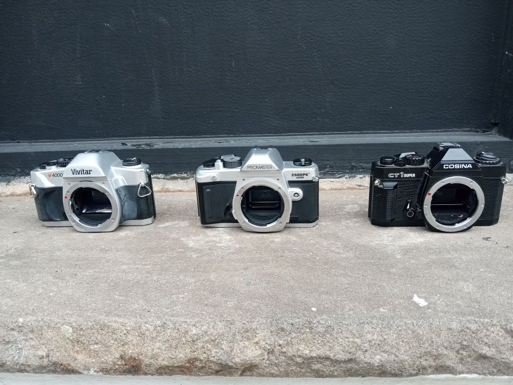 Film Camera Lot