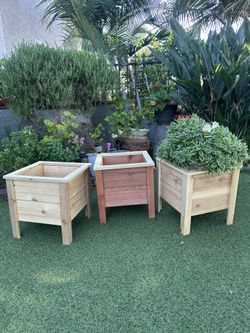 Cedar Planters