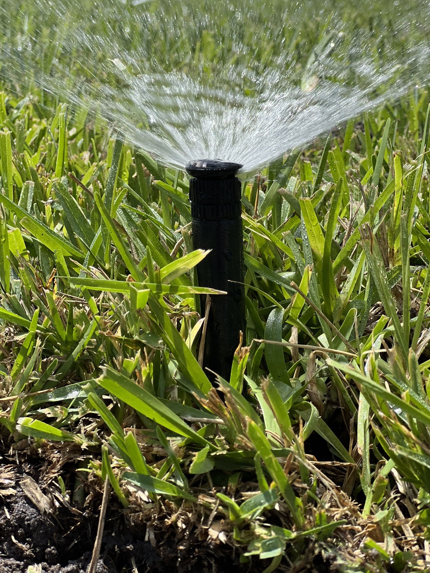 Sprinkler Repair 