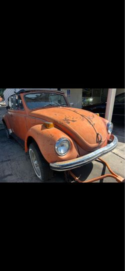 1980 Volkswagen Beetle