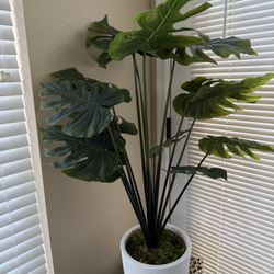 Faux tropical plant like new! It’s very large - like 3 feet or more tall actually!! It was $129 from Home Depot. 