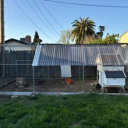 Chicken Coop