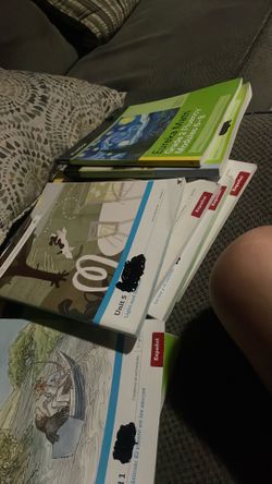 Free Grade 2/3 workbooks