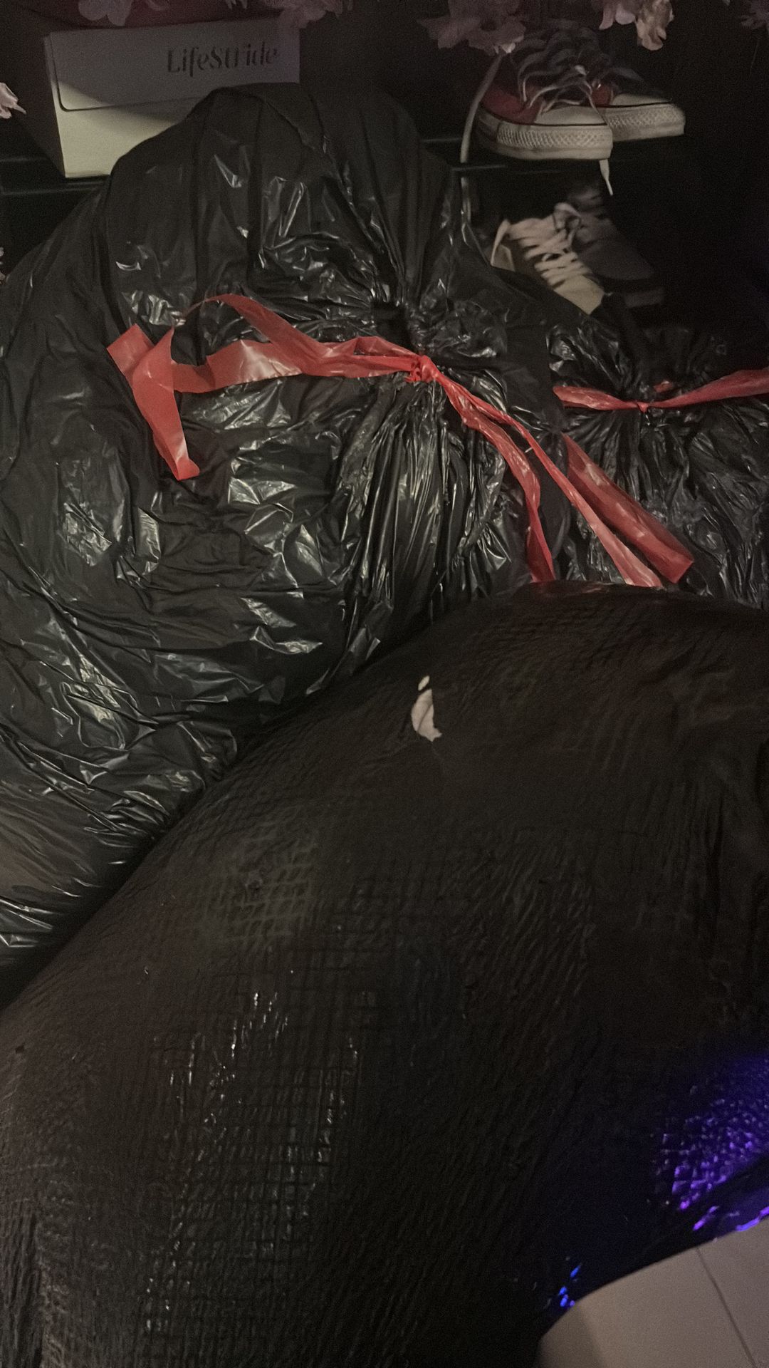 Bags of Clothes