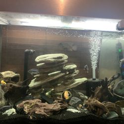 Fluval Tank 72g Everything Inside 