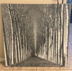 Canvas Wall Art