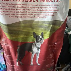 Dog Food 