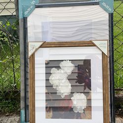 Brand New Picture Frames 