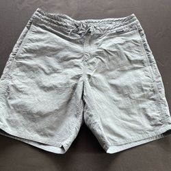 Patagonia Shorts 