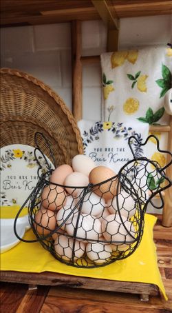 Fresh eggs