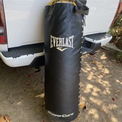 Everlast Punching Bag 