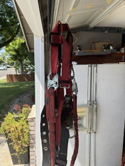 Protecta Harness