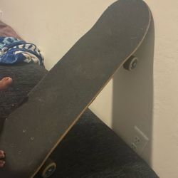 Skate Board