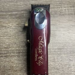 Wahl Magic Clips 