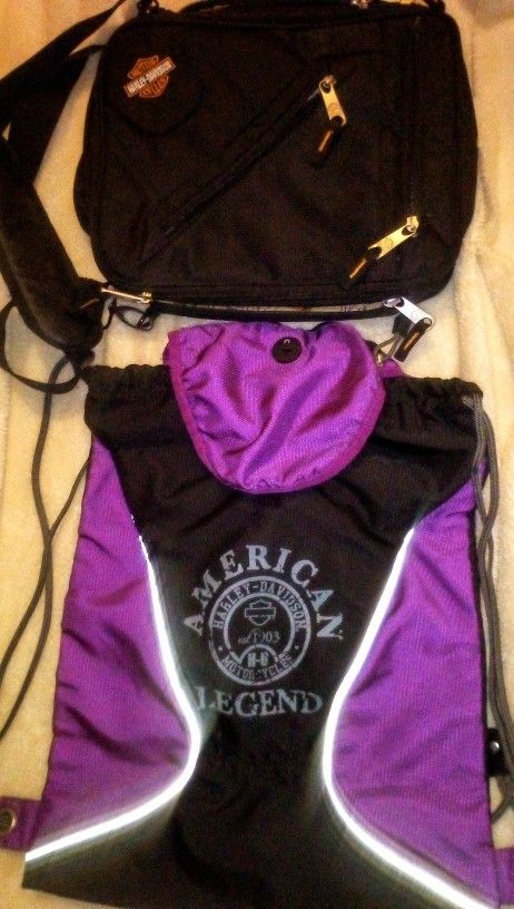 2 Harley Davidson Bags
