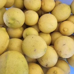 Limones Mexicanos $1 lb
