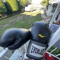 Everlast Boxing Gloves
