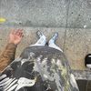 Zay Profits