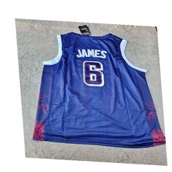 LeBron James USA Jersey - Genuine Athletic Gear rule professor