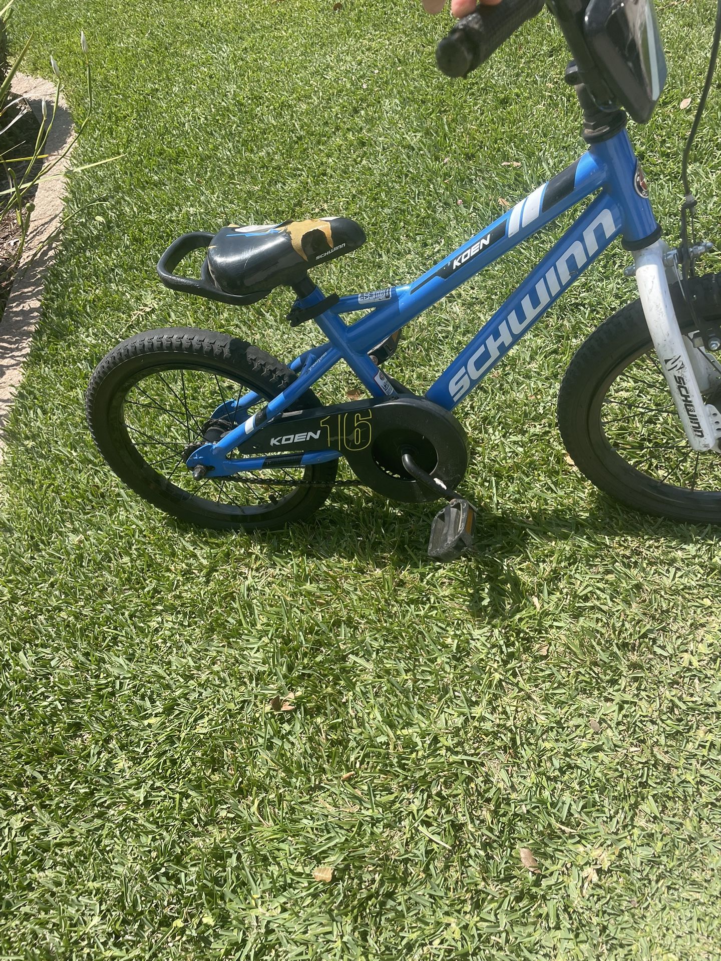 Kids Schwinn Bike