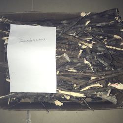 Orange Wood For Smoking