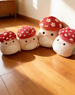🍄 Malcolm Mushroom Squishmallow Bundle (4 Plush) – $50 🍄