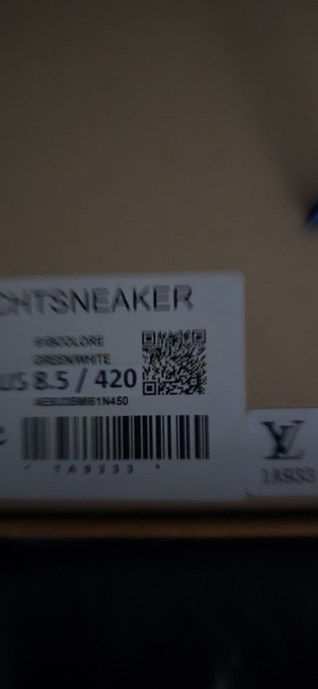 LV SHOE