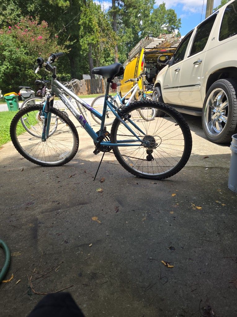 Bicicleta