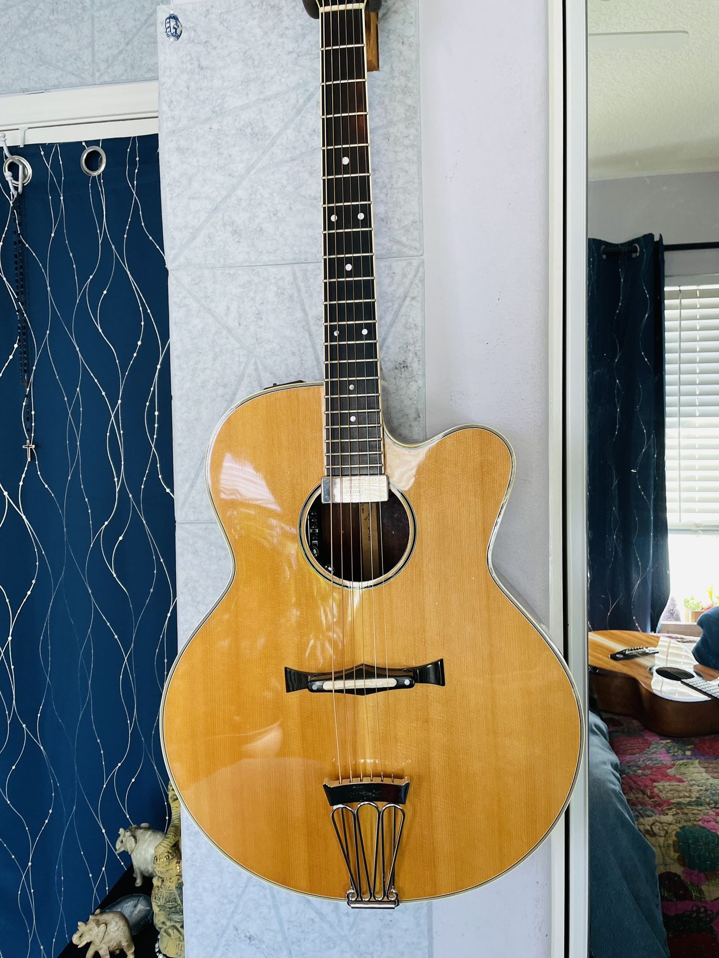 Custom, Vintage, Takemine Acoustic