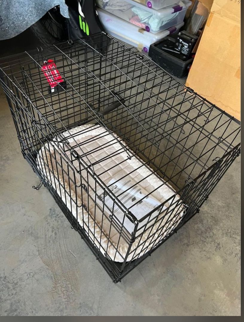 Dog Kennel