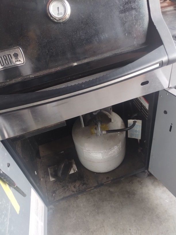 Weber Spirit BBQ