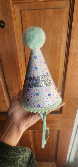 Pet Dog Cat birthday Party Hat