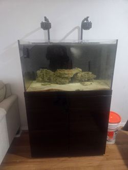 Pro star 90 aquarium 65 gallon rimless